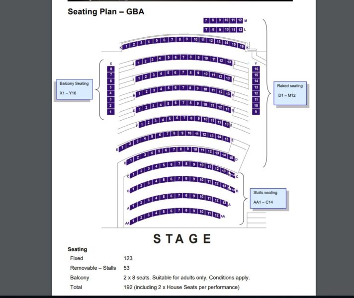 Auditorium Details Capture